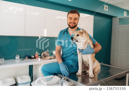 Looking at the camera. Male veterinarian is with Akita Inu dog in clinic 136755330