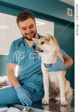 Sitting and smiling. Male veterinarian is with Akita Inu dog in clinic Sitting and smiling. Male veterinarian is with Akita Inu dog in clinic 136755345