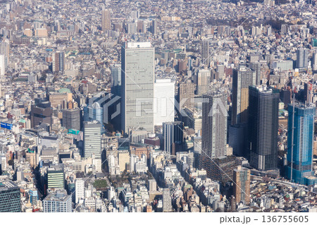 池袋のサンシャインシティ付近を空撮 136755605