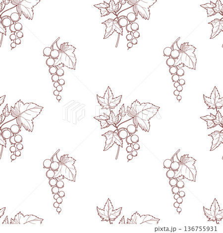 Outline Blackcurrant Branch Seamless Pattern. Line Art Botanical White Background with Currant Berries and Leaves. Hand Drawing template. Vector Square illustration Outline Blackcurrant Branch Seamless Pattern. Line Art Botanical White Background with Currant Berries and Leaves. Hand Drawing template. Vector Square illustration 136755931