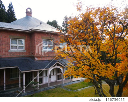 紅葉したイチョウと函館のトラピスチヌ修道院の建物 136756035