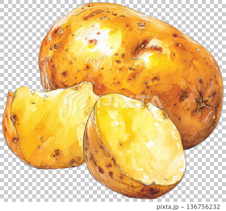 potato potato 136756232