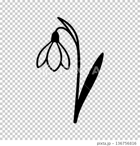 シンプルなスノードロップの線画アイコン シンプルなスノードロップの線画アイコン 136756816