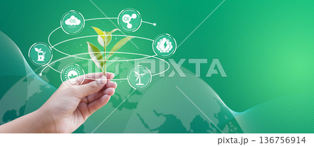 Net Zero and Carbon Neutral Business Strategy Concept with Sustainable Ecosystem Icons 136756914
