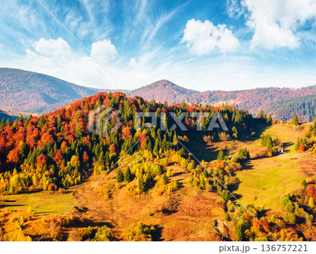 rural area in carpathian mountains autumn landscape on a sunny afternoon. beautiful countryside scenery ukraine with rolling hills under blue sky. picturesque grassy pasture on the slope near forest rural area in carpathian mountains autumn landscape on a sunny afternoon. beautiful countryside scenery ukraine with rolling hills under blue sky. picturesque grassy pasture on the slope near forest 136757221