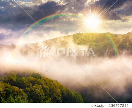 mountain landscape with cold fog at sunset. low clouds evaporating over the forested hill in evening light. outdoor scenery in spring for remote highland ecotourism. wonderful greenery under rainbow mountain landscape with cold fog at sunset. low clouds evaporating over the forested hill in evening light. outdoor scenery in spring for remote highland ecotourism. wonderful greenery under rainbow 136757235
