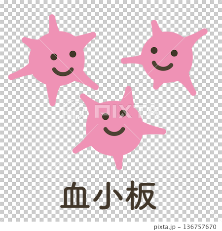 血小板（名称あり） 136757670