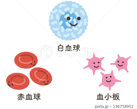 白血球と赤血球と血小板 136758952