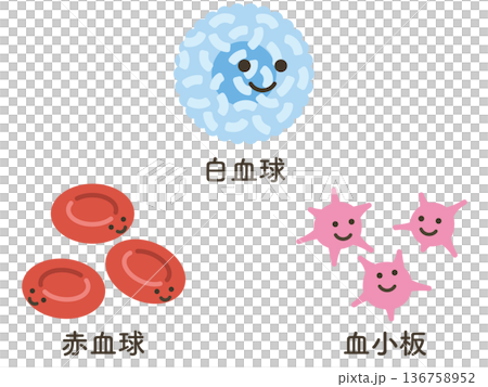 白血球と赤血球と血小板 136758952