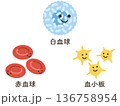 白血球と赤血球と黄色い血小板 136758954