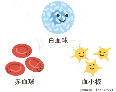 白血球と赤血球と黄色い血小板 136758954