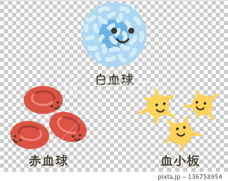 白血球、紅血球和血小板 136758954