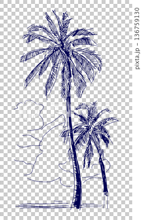 Hand drawn illustration sketch summer landscape with palm trees Hand drawn illustration sketch summer landscape with palm trees 136759130