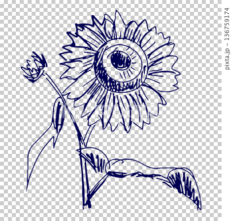 Hand-drawn illustration sketch sunflower Hand-drawn illustration sketch sunflower 136759174