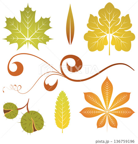 Autumn leaves 136759196