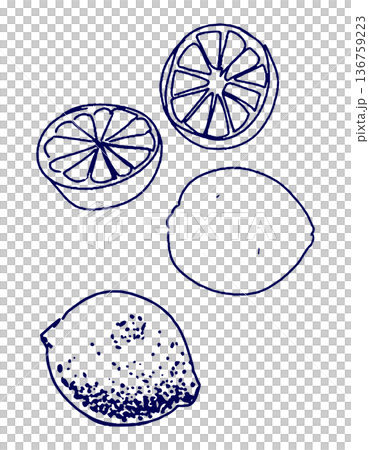 Hand drawn illustration sketch lemon Hand drawn illustration sketch lemon 136759223