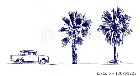 手描きイラスト スケッチ ヤシの木と車の旅行風景 手描きイラスト スケッチ ヤシの木と車の旅行風景 136759228