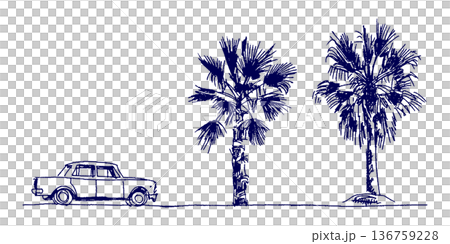 手描きイラスト スケッチ ヤシの木と車の旅行風景 手描きイラスト スケッチ ヤシの木と車の旅行風景 136759228