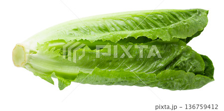 Cos Lettuce Isolated over the White Background. Cos Lettuce Isolated over the White Background. 136759412