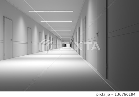 long corridor with doors, interior visualization, 3D illustration 136760194