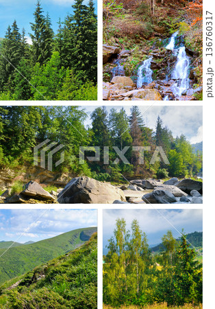 Serene nature of the Carpathians with a rushing river and cascading falls Serene nature of the Carpathians with a rushing river and cascading falls 136760317
