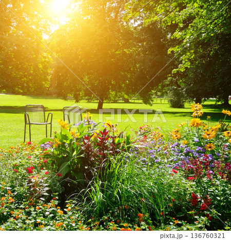 Serene public garden landscape with colorful flowers and empty chairs 136760321