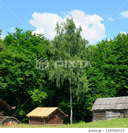 Authentic vintage log cabins on a green meadow near the forest Authentic vintage log cabins on a green meadow near the forest 136760325