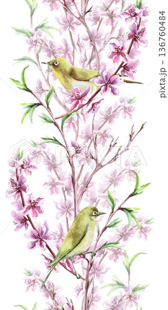 A seamless vertical border with blooming peach branches and small birds. Watercolor illustration for interior design, travel websites, postcards, fabric printing, and packaging. 136760484