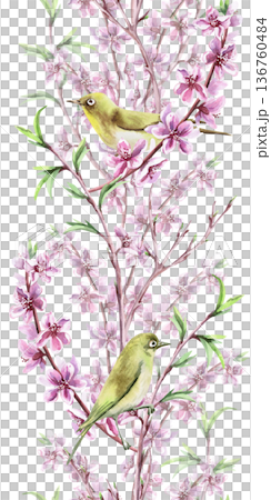 A seamless vertical border with blooming peach branches and small birds. Watercolor illustration for interior design, travel websites, postcards, fabric printing, and packaging. 136760484