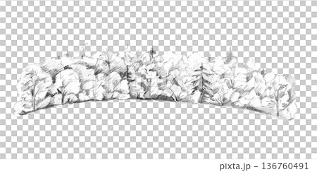 A panoramic pencil sketch of a dense forest with tall trees. Isolated illustration for nature-related branding, environmental campaigns, outdoor adventure marketing, and landscape architecture. 136760491