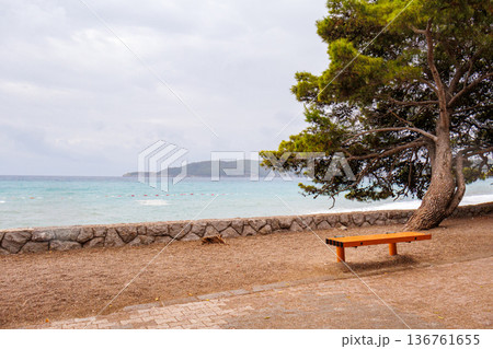 Lonely wooden bench under a pine tree by the sea on a cloudy day. Calm coastal landscape with turquoise water and empty beach. Tranquil seaside scene with copy space. 136761655