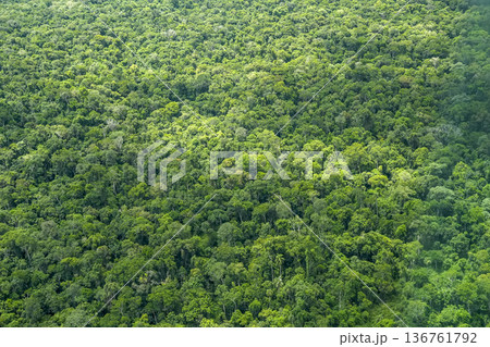 Tropical rainforest landscape Aerial view Iguazu falls waterfalls Scenic destination panorama from helicopter tour 136761792