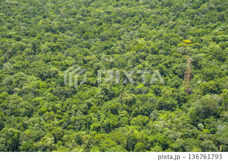 Tropical rainforest landscape Aerial view Iguazu falls waterfalls Scenic destination panorama from helicopter tour 136761793