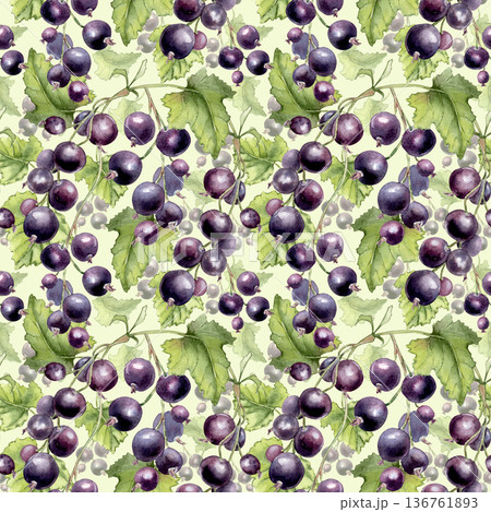 Summer vibrant fruit harvest repeat print on soft background. Black currant watercolor seamless pattern hand drawn. Fresh juicy berry and green leaves drawing for fabric design, textile, packaging. Summer vibrant fruit harvest repeat print on soft background. Black currant watercolor seamless pattern hand drawn. Fresh juicy berry and green leaves drawing for fabric design, textile, packaging. 136761893