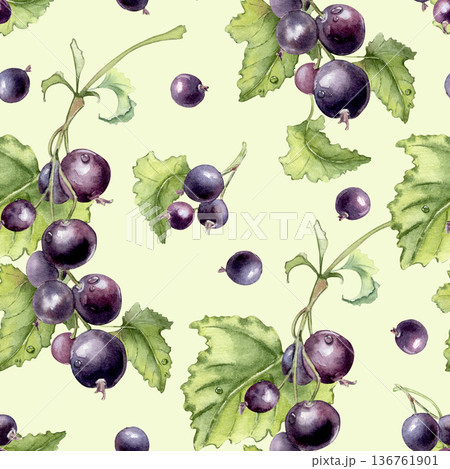 Watercolor black currant with leaves seamless pattern isolated on green. Hand drawn botanical repeat texture for fabric design and summer season. Purple berries on branches with dew drops. Watercolor black currant with leaves seamless pattern isolated on green. Hand drawn botanical repeat texture for fabric design and summer season. Purple berries on branches with dew drops. 136761901