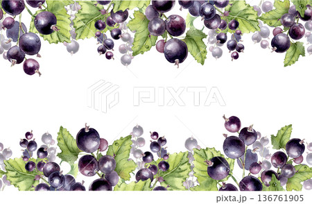 Watercolor black currant seamless border design with lush green leaves and berries isolated white. Ripe fresh fruits on repeat background. Hand drawn summer fruit frame for food packaging. 136761905