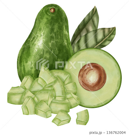 A hand-drawn watercolor illustration of an avocado composition with slices and leaves. Suitable for stores, cafes, packaging, menus, and products related to cooking, skincare, and health. 136762004