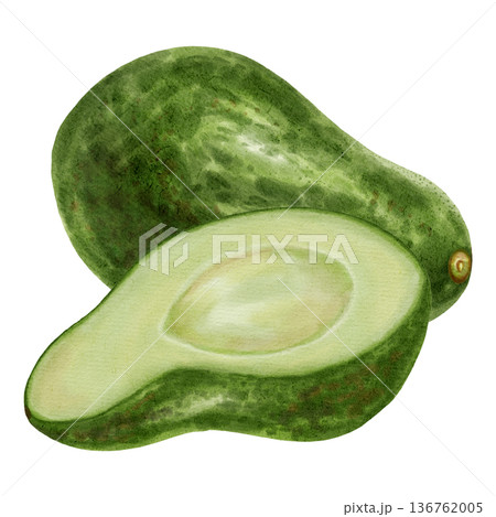 A hand-drawn watercolor illustration of an avocado composition with slices and leaves. Suitable for stores, cafes, packaging, menus, and products related to cooking, skincare, and health. A hand-drawn watercolor illustration of an avocado composition with slices and leaves. Suitable for stores, cafes, packaging, menus, and products related to cooking, skincare, and health. 136762005
