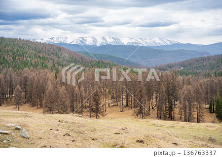 Mountain ridge valley and peaks in Ulagan region Altai Russia. Expansive alpine landscape with rugged terrain and natural wilderness 136763337