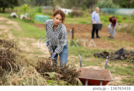 Woman takes out bunch of branches, puts garbage in wheelbarrow 136763438