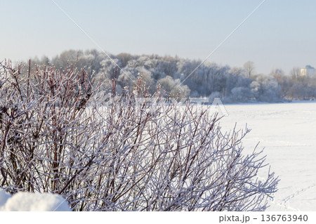 A winter scene with trees covered in hoarfrost under a clear blue sky. Season A winter scene with trees covered in hoarfrost under a clear blue sky. Season 136763940