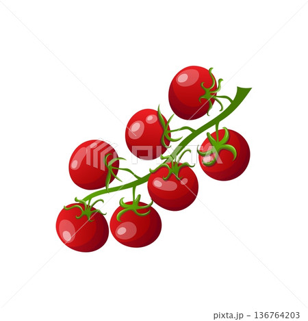 Cherry tomatoes on the vine Cherry tomatoes on the vine 136764203
