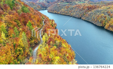 An aerial view of a winding road running through colorful autumn forest An aerial view of a winding road running through colorful autumn forest 136764224