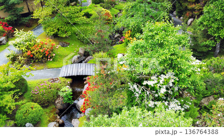 Aerial view on Rhododendron of 5 colors in Japanese garden: lightpurple, purple; red; orange and yellow and a little pink (6th) Aerial view on Rhododendron of 5 colors in Japanese garden: lightpurple, purple; red; orange and yellow and a little pink (6th) 136764388