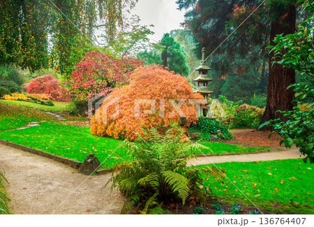 aUTUMN LEAF COLOR IN jAPANESE GARDEN IN Leverkusen aUTUMN LEAF COLOR IN jAPANESE GARDEN IN Leverkusen 136764407
