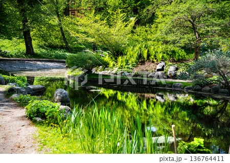 Japanese garden with blooming rhododendrons, a pond in northern Europe Japanese garden with blooming rhododendrons, a pond in northern Europe 136764411