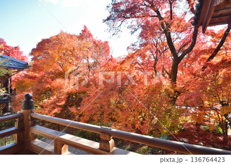宝筐院の紅葉 136764423