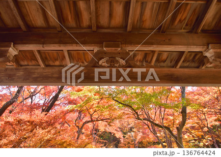 宝筐院の紅葉 136764424