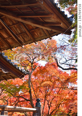 宝筐院の紅葉 136764558