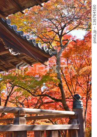 宝筐院の紅葉 宝筐院の紅葉 136764560